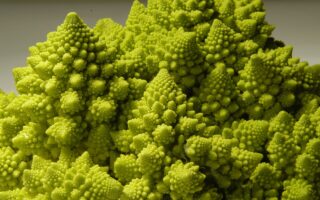 Comment cusiner le chou romanesco